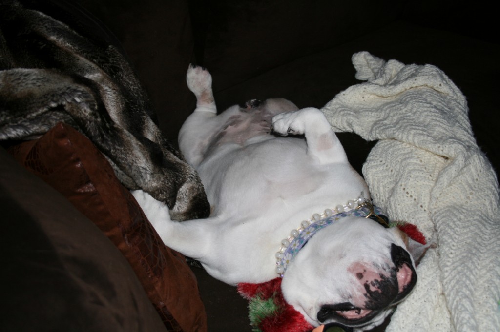 Pricess Grace getting some beauty sleep
